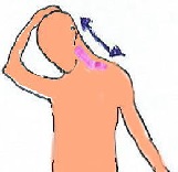 �m�X�؂ƌ��b���؂̃X�g���b�`