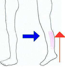 �J�[�t���C�Y