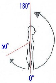 ���֐߂̑O���ƌ㋓