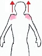 �O�p�؂ƞ���؂̃G�N�T�T�C�Y2