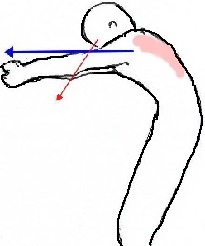 �L�w�؁@�m�X�؂̃G�N�T�T�C�Y