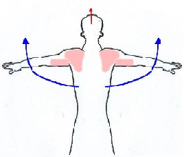 �勹�؂Ə�r�񓪋؂̃G�N�T�T�C�Y