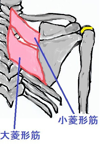 �H�`�؃C���X�g