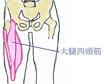 ��ڎl����