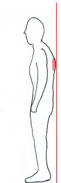 �ۂ܂����p��